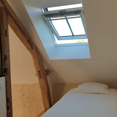 Familiale Pres De La Fleche, Animaux Acceptes - Fr-1-410-476