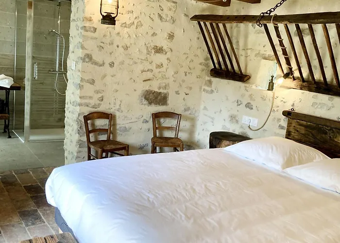 Bed & Breakfast Familiale Pres De La Fleche, Animaux Acceptes - Fr-1-410-476